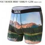SAXX（サックス） パンツ メンズのレビュー　