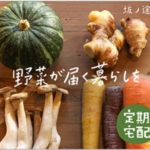 坂ノ途中 旬のお野菜セット