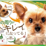 目の周りパッチリ美人 犬の涙やけに ご飯にかけるだけの無添加サプリ