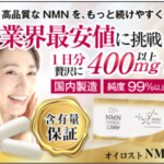 オイロストNMN 含有量保証!個別包装!大容量1日400mg以上超お得