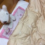 ホオンテック掛布団プレミアム ショップジャパンのレビュー記事 PR
