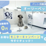 【体験レビュー】大切な家族のために。ペット用酸素室「オーツーチャージ」をレンタルして本当に良かった話