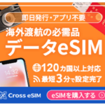 【Cross eSIMレビュー】海外旅行のネット接続はこれで安心!